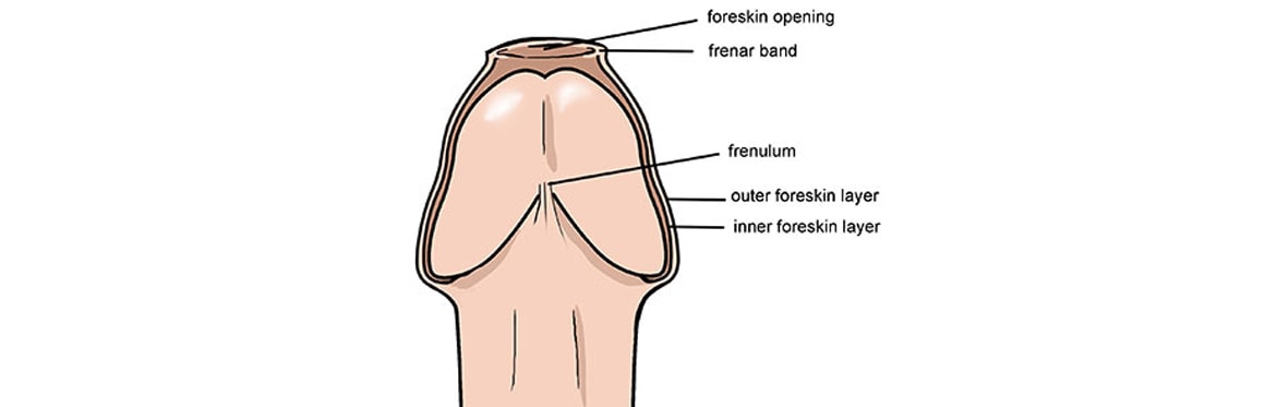 Penile Reconstruction